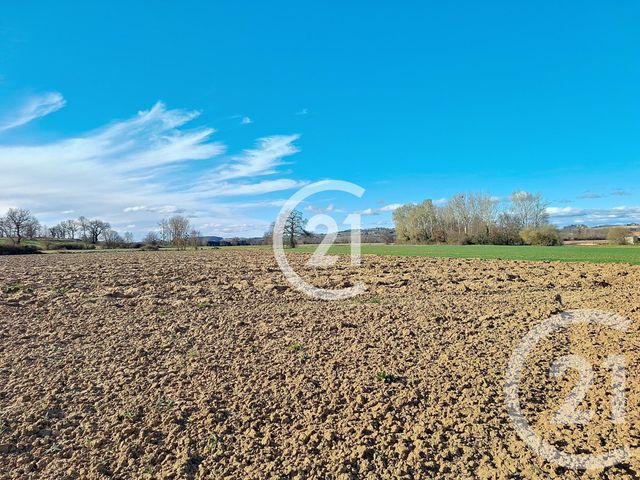 terrain à vendre - 17780.0 m2 - LAVAUR - 81 - MIDI-PYRENEES - Century 21 Les Demeures Du Pastel