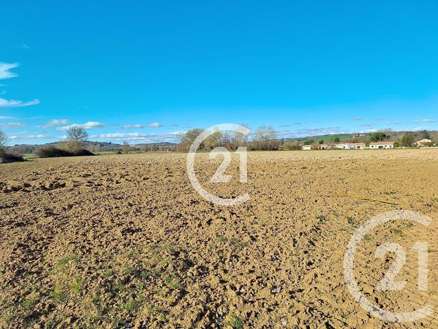 terrain à vendre - 17780.0 m2 - LAVAUR - 81 - MIDI-PYRENEES - Century 21 Les Demeures Du Pastel