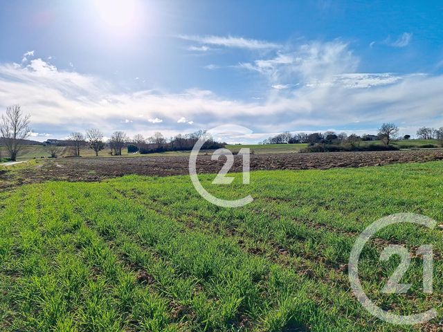 terrain à vendre - 17780.0 m2 - LAVAUR - 81 - MIDI-PYRENEES - Century 21 Les Demeures Du Pastel
