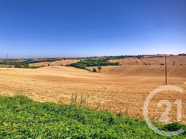 maison à vendre - 10 pièces - 390.0 m2 - TOULOUSE - 31 - MIDI-PYRENEES - Century 21 Les Demeures Du Pastel