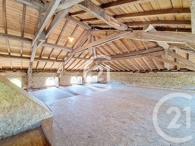maison - AMBRES - 81