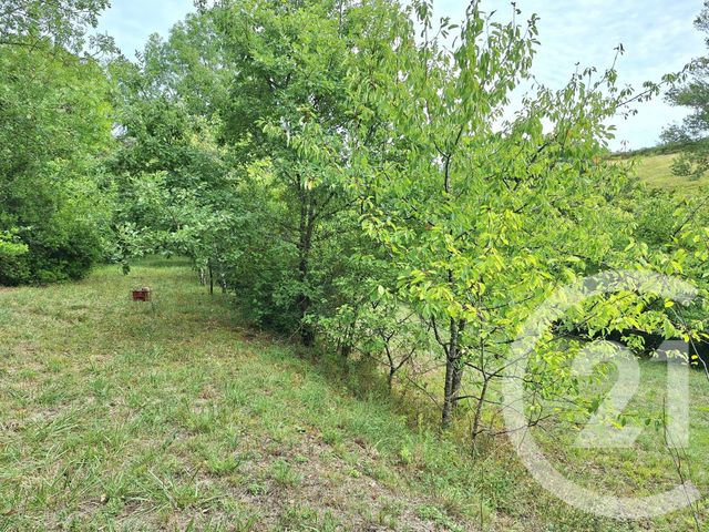 maison à vendre - 7 pièces - 249.0 m2 - LAVAUR - 81 - MIDI-PYRENEES - Century 21 Les Demeures Du Pastel