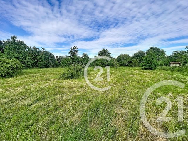 maison à vendre - 8 pièces - 160.0 m2 - LAVAUR - 81 - MIDI-PYRENEES - Century 21 Les Demeures Du Pastel