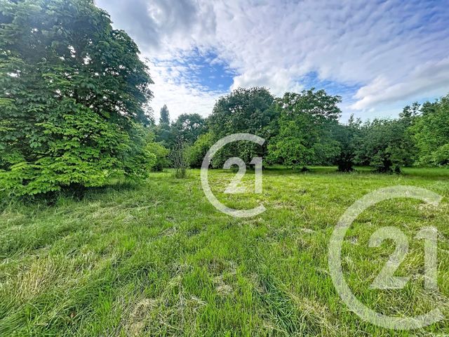 maison à vendre - 8 pièces - 160.0 m2 - LAVAUR - 81 - MIDI-PYRENEES - Century 21 Les Demeures Du Pastel