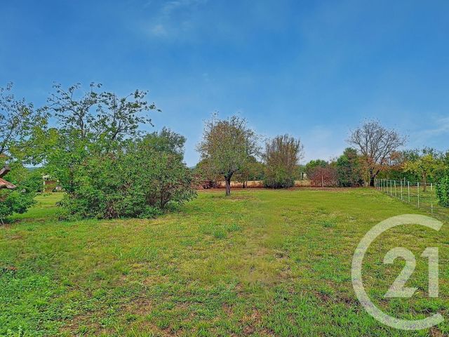 terrain à vendre - 1241.0 m2 - LAVAUR - 81 - MIDI-PYRENEES - Century 21 Les Demeures Du Pastel