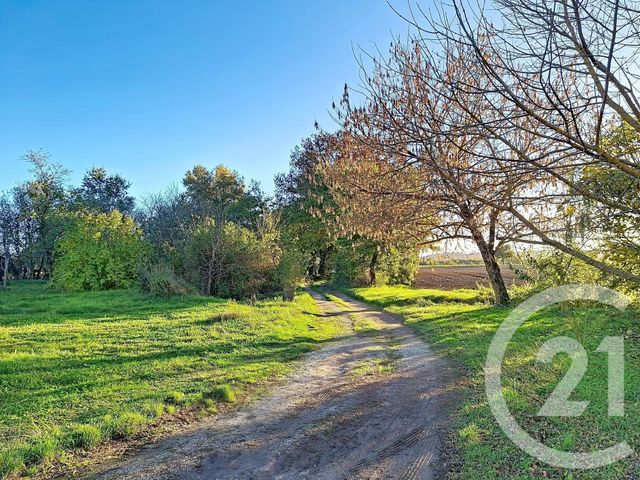 maison à vendre - 6 pièces - 150.0 m2 - LAVAUR - 81 - MIDI-PYRENEES - Century 21 Les Demeures Du Pastel