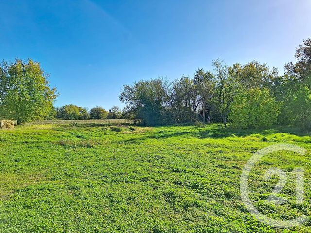 maison à vendre - 6 pièces - 150.0 m2 - LAVAUR - 81 - MIDI-PYRENEES - Century 21 Les Demeures Du Pastel