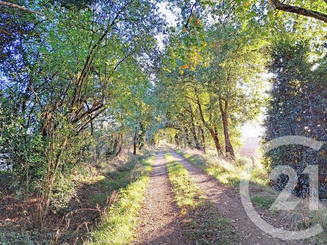 maison à vendre - 6 pièces - 150.0 m2 - LAVAUR - 81 - MIDI-PYRENEES - Century 21 Les Demeures Du Pastel