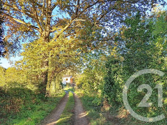 maison - LAVAUR - 81