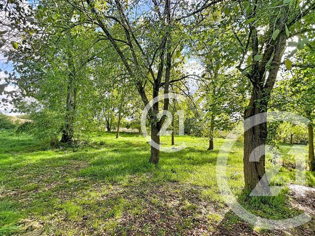 maison à louer - 4 pièces - 90.21 m2 - VERFEIL - 31 - MIDI-PYRENEES - Century 21 Les Demeures Du Pastel