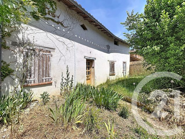 maison - LAVAUR - 81