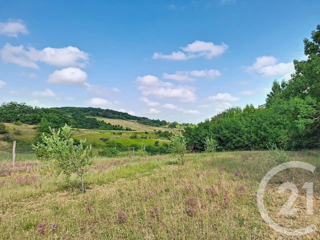 maison à vendre - 11 pièces - 253.0 m2 - PRATVIEL - 81 - MIDI-PYRENEES - Century 21 Les Demeures Du Pastel
