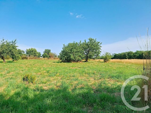 maison à vendre - 5 pièces - 92.0 m2 - VITERBE - 81 - MIDI-PYRENEES - Century 21 Les Demeures Du Pastel