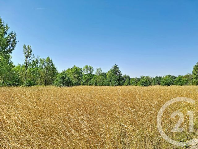 maison à vendre - 6 pièces - 122.0 m2 - LAVAUR - 81 - MIDI-PYRENEES - Century 21 Les Demeures Du Pastel