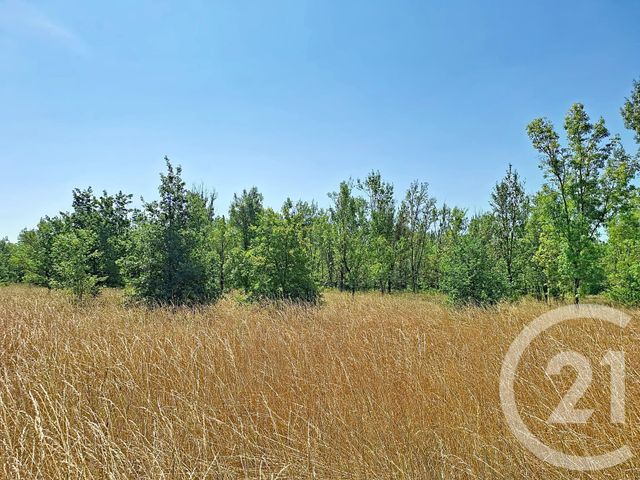 maison à vendre - 6 pièces - 122.0 m2 - LAVAUR - 81 - MIDI-PYRENEES - Century 21 Les Demeures Du Pastel