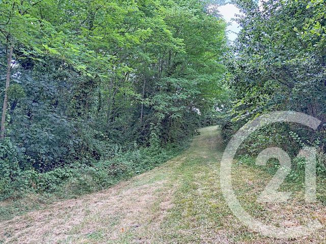 maison à vendre - 11 pièces - 218.0 m2 - GIROUSSENS - 81 - MIDI-PYRENEES - Century 21 Les Demeures Du Pastel