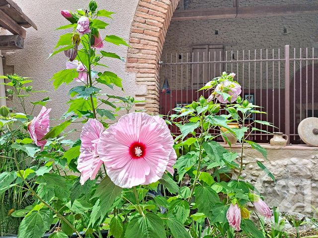 maison à vendre - 10 pièces - 433.37 m2 - LAVAUR - 81 - MIDI-PYRENEES - Century 21 Les Demeures Du Pastel
