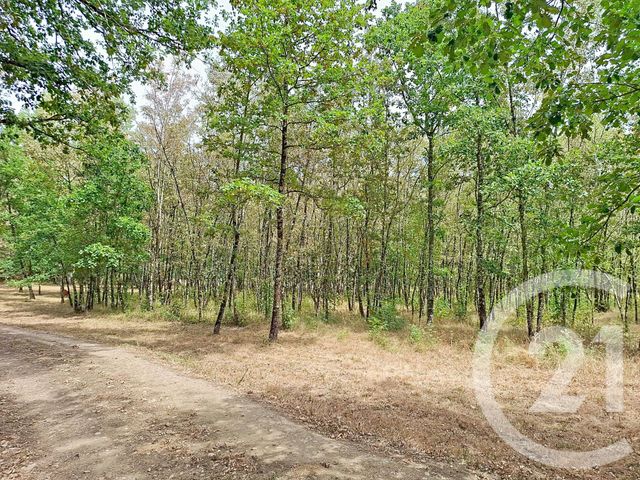 maison à vendre - 10 pièces - 433.37 m2 - LAVAUR - 81 - MIDI-PYRENEES - Century 21 Les Demeures Du Pastel