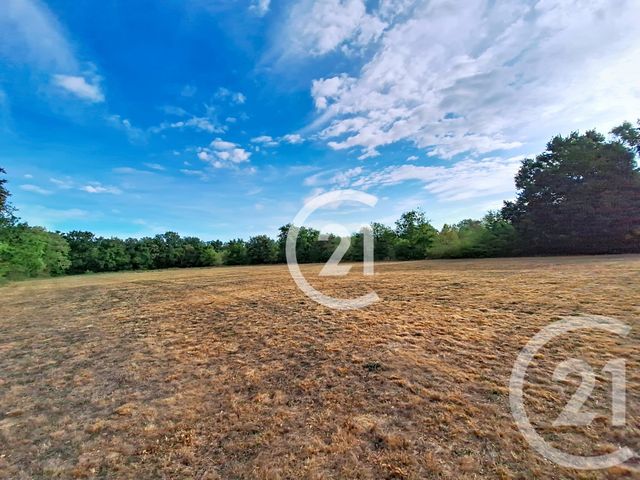 maison à vendre - 7 pièces - 268.5 m2 - LAVAUR - 81 - MIDI-PYRENEES - Century 21 Les Demeures Du Pastel