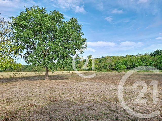 maison à vendre - 7 pièces - 268.5 m2 - LAVAUR - 81 - MIDI-PYRENEES - Century 21 Les Demeures Du Pastel