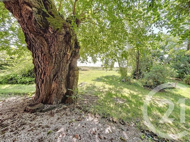 maison à vendre - 12 pièces - 390.0 m2 - LAVAUR - 81 - MIDI-PYRENEES - Century 21 Les Demeures Du Pastel